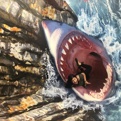 사진 착시 박물관 (무제이 포토 일류지 우 키예비)